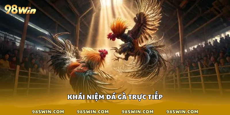 Khái niệm đá gà trực tiếp